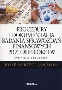 Procedury i dokumentacja badania sprawozdań finansowych przedsiębiorstw. Studium przypadku