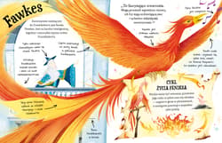 Galeria - zdjęcie nr. 3 - Profesor Dumbledore. Przewodnik po serii Harry Potter. Mały potterownik