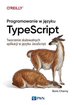 Programowanie w TypeScript Tworzenie skalowalnych aplikacji w JavaScript - Cherny Boris