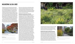 Galeria - zdjęcie nr. 5 - Projektowanie ogrodów naturalistycznych. Podstawowe zasady