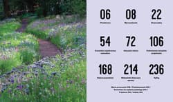 Galeria - zdjęcie nr. 4 - Projektowanie ogrodów naturalistycznych. Podstawowe zasady