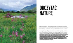 Galeria - zdjęcie nr. 3 - Projektowanie ogrodów naturalistycznych. Podstawowe zasady