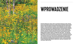 Galeria - zdjęcie nr. 2 - Projektowanie ogrodów naturalistycznych. Podstawowe zasady