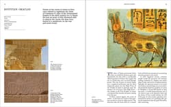 Galeria - zdjęcie nr. 4 - Prophecies