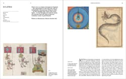 Galeria - zdjęcie nr. 5 - Prophecies