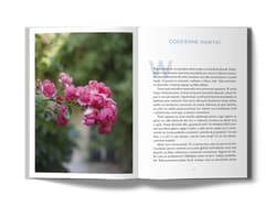 Galeria - zdjęcie nr. 3 - Prosto i uważnie na co dzień wyd. 2024