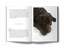 Galeria - zdjęcie nr. 5 - Prosto i uważnie na co dzień wyd. 2024