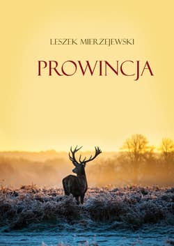 Prowincja - Leszek Mierzejewski