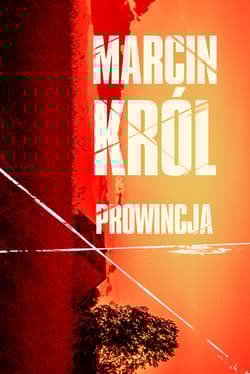 Prowincja - Marcin Król