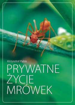 Prywatne życie mrówek - Krzysztof Pabis
