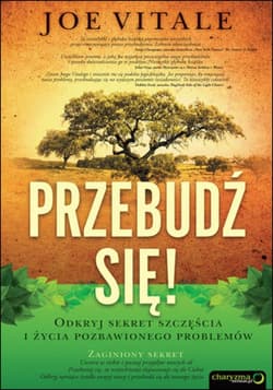 Przebudź się! Odkryj sekret szczęścia i życia pozbawionego problemów - ebook - Vitale Joe