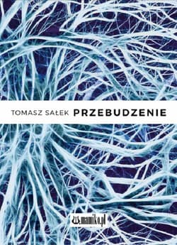 Przebudzenie - Tomasz Sałek