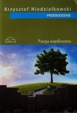 Przebudzenie - Krzysztof Niedziałkowski