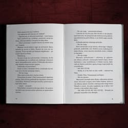 Galeria - zdjęcie nr. 5 - Przechwyceni