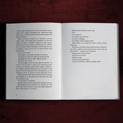 Galeria - zdjęcie nr. 4 - Przechwyceni