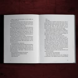 Galeria - zdjęcie nr. 3 - Przechwyceni