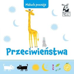 Przeciwieństwa Maluch poznaje - Opracowanie Zbiorowe