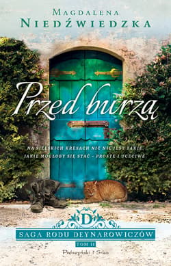 Przed burzą - ebook - Magdalena Niedźwiedzka