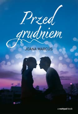 Przed grudniem - ebook