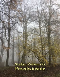 Przedwiośnie - ebook - Stefan Żeromski