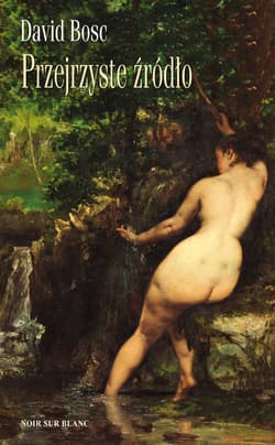 Przejrzyste źródło - ebook - David Bosc