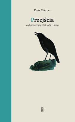 Przejścia Wybór wierszy z lat 1982-2020 - Piotr Mitzner