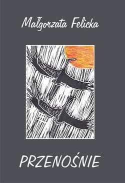 Przenośnie - Małgorzata Felicka