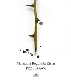 Przeprawa - ebook - Marzanna Bogumiła Kielar