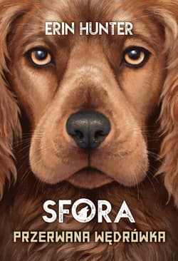 Przerwana wędrówka - ebook - Erin Hunter