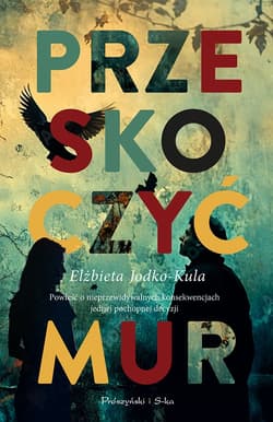 Przeskoczyć mur - Elżbieta Jodko-Kula