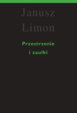 Przestrzenie i zaułki - Janusz Limon