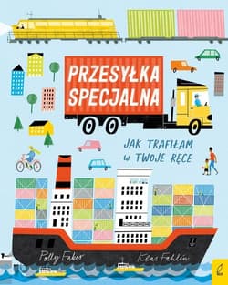 Przesyłka specjalna Jak trafiłam w Twoje ręce - Polly Faber