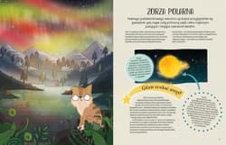 Galeria - zdjęcie nr. 2 - Przewodnik kotki po nocnym niebie
