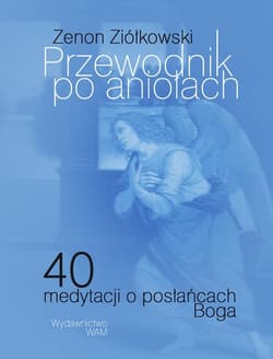 Przewodnik po aniołach 40 medytacji o posłańcach Boga - Zenon Ziółkowski
