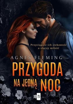 Przygoda na jedną noc - Fleming Agnes
