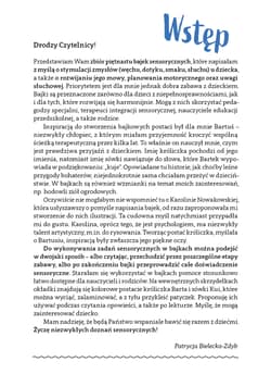 Galeria - zdjęcie nr. 2 - Przygody króliczka Barta i sówki Kui Bajki sensoryczne