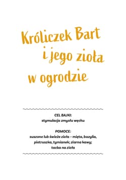 Galeria - zdjęcie nr. 2 - Przygody króliczka Barta i sówki Kui Bajki sensoryczne