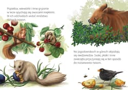 Galeria - zdjęcie nr. 2 - Przygody nasion. Młodzi przyrodnicy