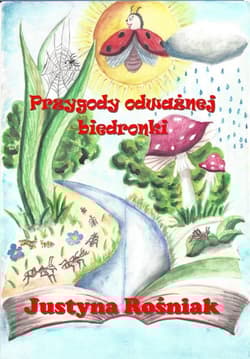 Przygody odważnej biedronki - Justyna Rośniak