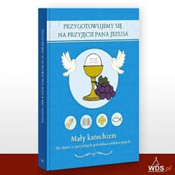 Przygotowujemy się na przyjęcie Pana Jezusa Mały katechizm dla dzieci o specjalnych potrzebach edukacyjnych - Jerzy Dąbek