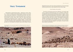 Galeria - zdjęcie nr. 4 - Przymierze z Bogiem Obrazy Kościoła w Piśmie Świętym