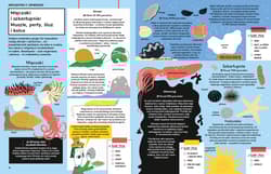 Galeria - zdjęcie nr. 3 - Przyroda jest wszędzie! Śledztwo w sprawie organizmów wokół ciebie i w tobie