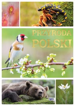 Przyroda Polski - Opracowanie Zbiorowe