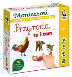 Przyroda tu i tam. Kapitan Nauka. Montessori. Karty sensoryczne