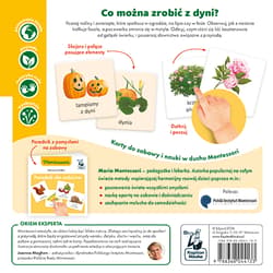 Galeria - zdjęcie nr. 2 - Przyroda tu i tam. Kapitan Nauka. Montessori. Karty sensoryczne