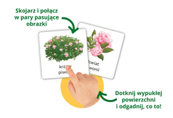 Galeria - zdjęcie nr. 3 - Przyroda tu i tam. Kapitan Nauka. Montessori. Karty sensoryczne