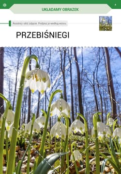 Galeria - zdjęcie nr. 4 - Przyszła wiosna Karty pracy dla I etapu nauczania uczniów z niepełnosprawnością intelektualną w stopniu umiarkowanym