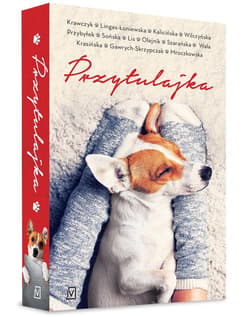 Przytulajka - Agnieszka Krawczyk, Agnieszka Lingas-Łoniewska, Małgorzata Kalicińska, Karolina Wilczyńska