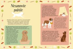 Galeria - zdjęcie nr. 3 - Psie historie. Prawdziwe opowieści o bohaterskich psach