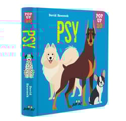 Psy POP-UP 10 - Dawid Hawcock